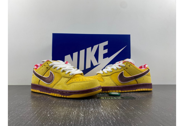 NIKE Dunk Low Premium SB