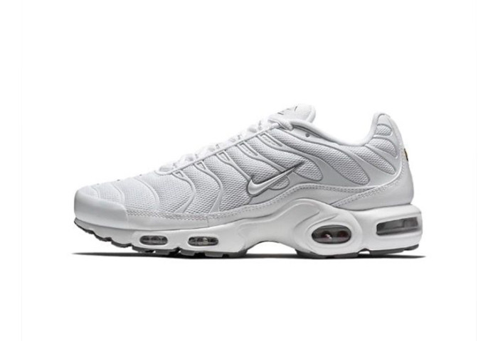 Nike Air Max Plus White 604133-139