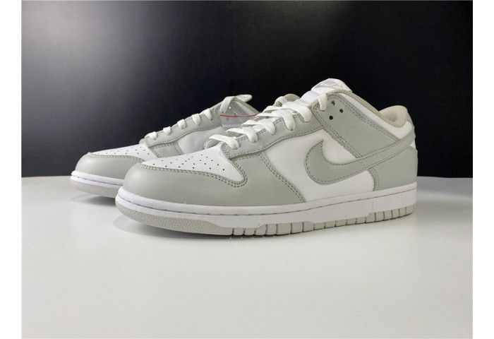 Nike SB Dunk Low Silver ash killer CU1726-201