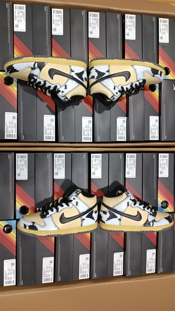 Dunk High DD9404-700