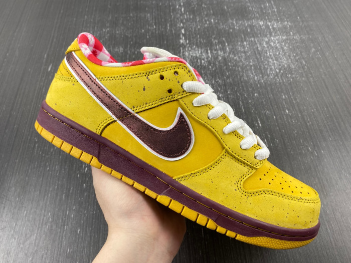 NIKE Dunk Low Premium SB 