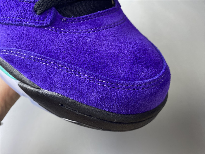 Jordan 5 Retro Alternate Grape 136027-500
