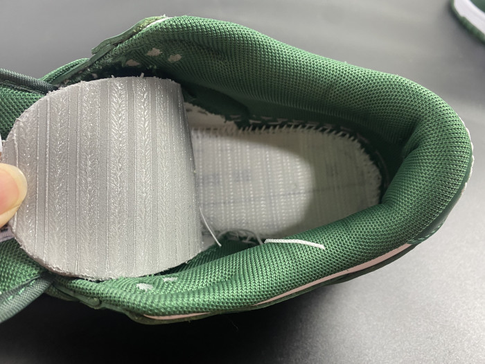 Nike Dunk Low Michigan State DD1391-101