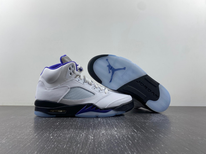 Air Jordan5 CONCORD DD0587-141