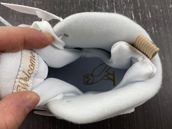 Air Jordan 8 OVO AA1239-135