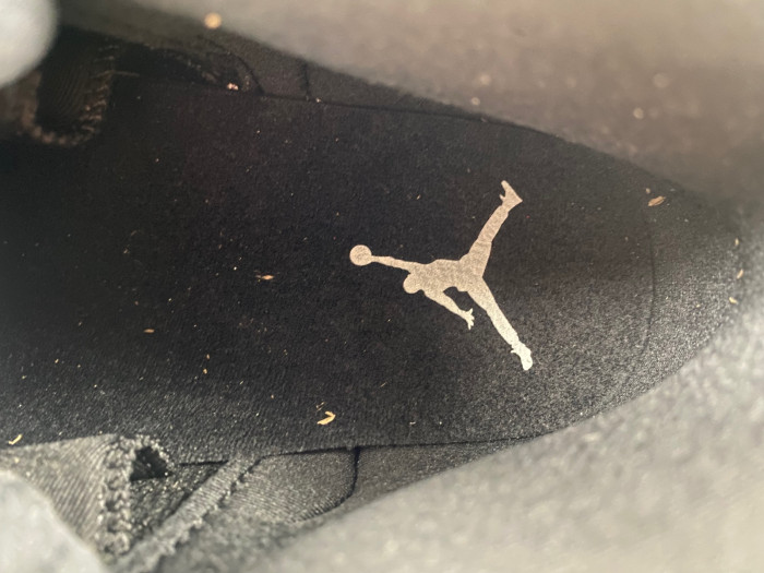 AIR JORDAN 12 “BLACK/WOLF GREY” CT8013-010