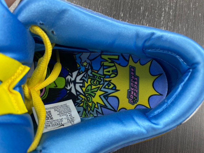 Nike SB Dunk Low “Bubbles” FZ8320-400