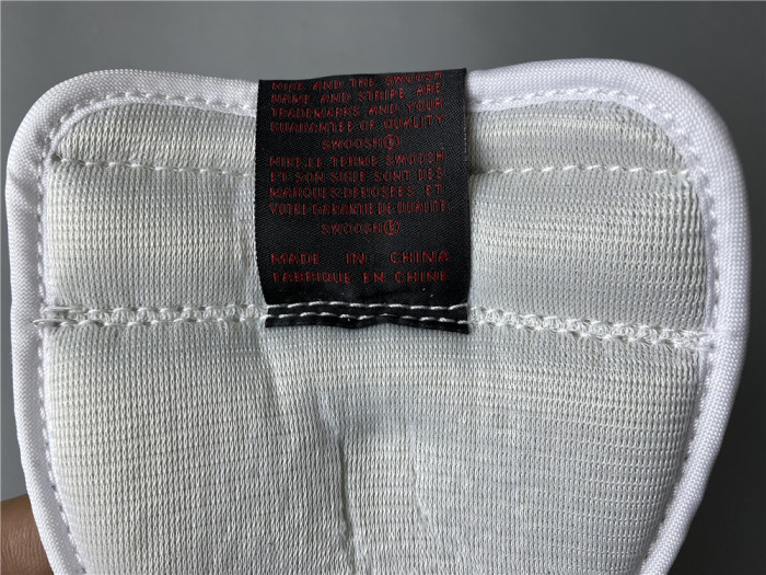 Jordan 1 Retro High Light Smoke Grey 555088-126