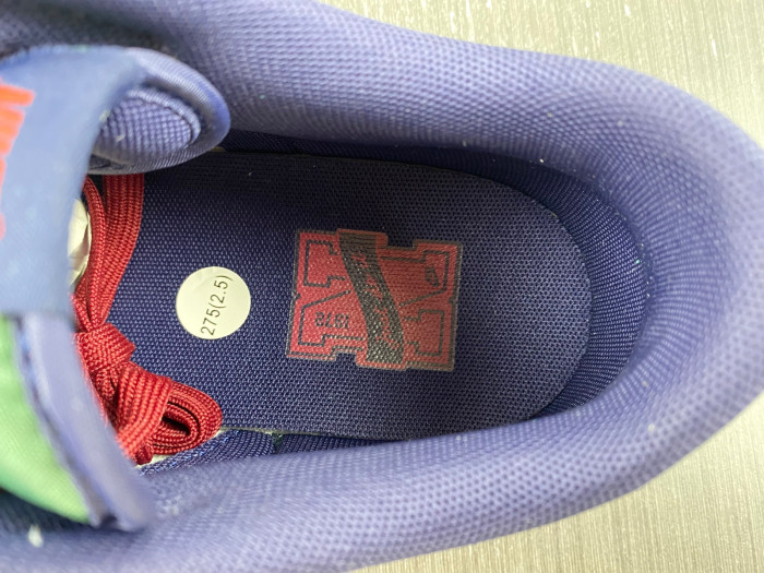 Nike Dunk Low FV8106-361