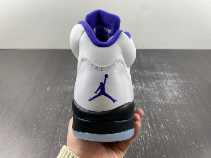 Air Jordan5 CONCORD DD0587-141