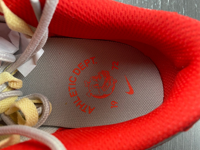 Nike SB Dunk Low FJ5429-133