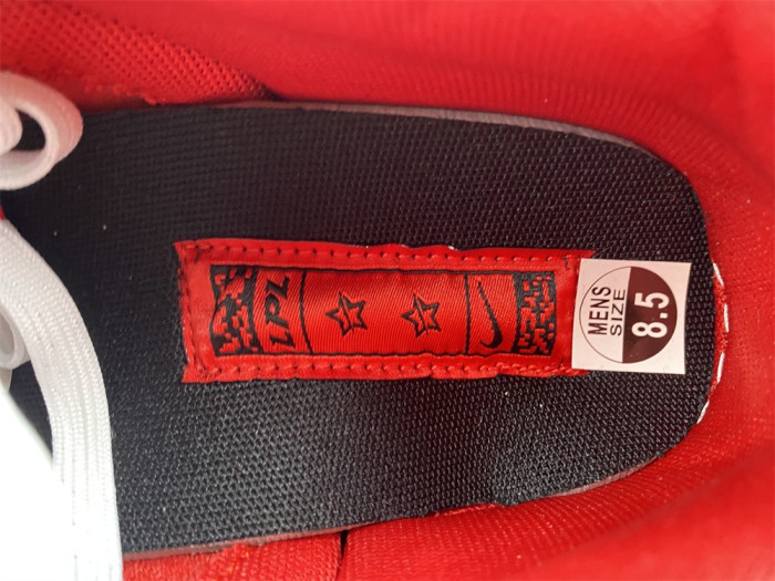 Nike SB Dunk Low LPL League of Legends  DO2327-011