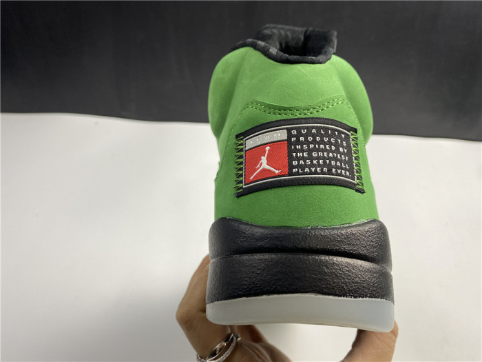 Jordan 5 Retro SE Oregon CK6631-307