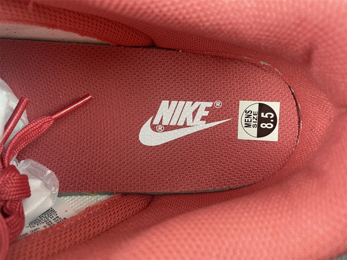 Nike Dunk Low Archeo Pink (W) - DD1503-111