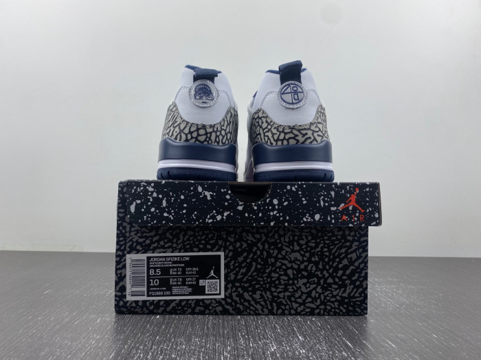 JORDAN SPIZIKE LOW FQ1869-100