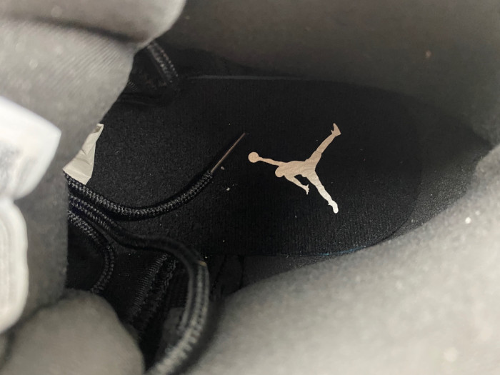 Air Jordan 12 RETRO CT8013-019