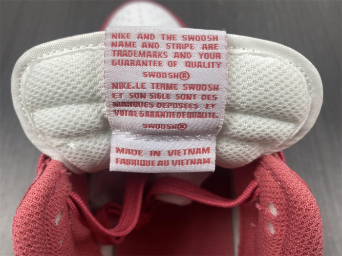 Nike Dunk Low Archeo Pink (W) - DD1503-111