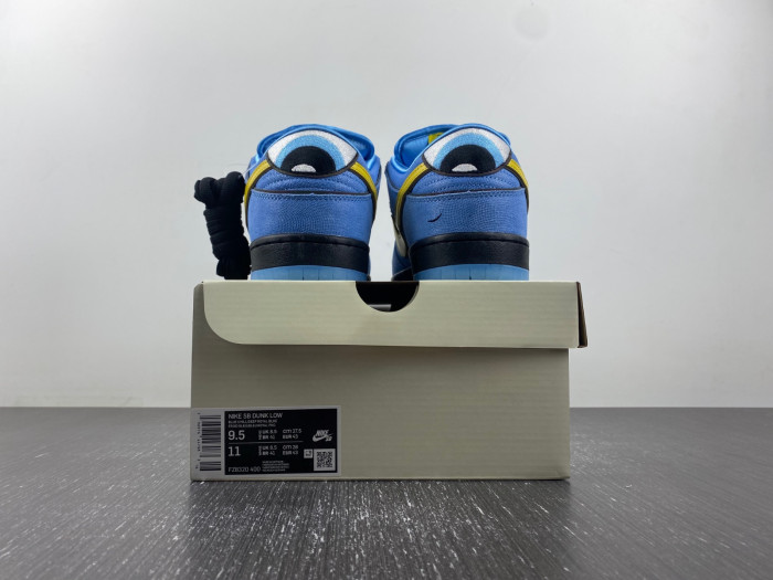 Nike SB Dunk Low “Bubbles” FZ8320-400