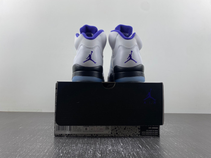 Air Jordan5 CONCORD DD0587-141