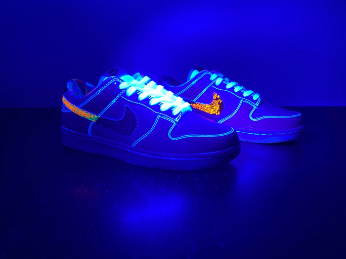 Nike Dunk Low GS FN8913-141