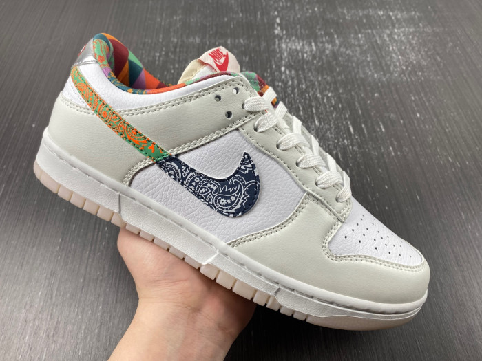 Nike Dunk Low GS FN8913-141