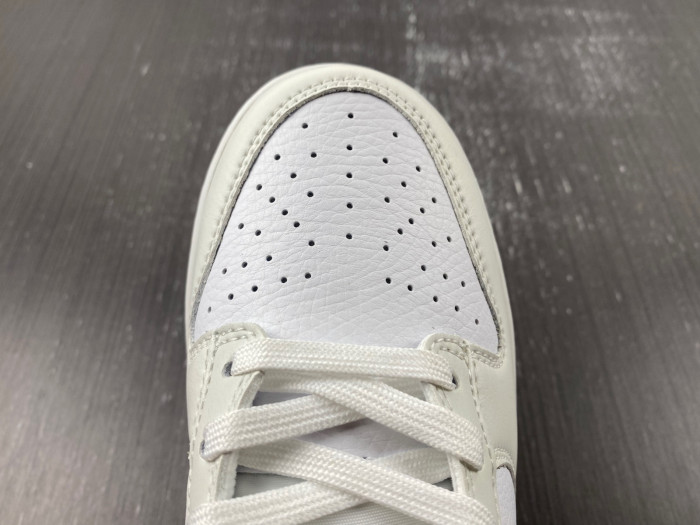 Nike Dunk Low GS FN8913-141