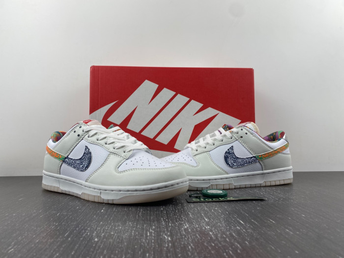 Nike Dunk Low GS FN8913-141