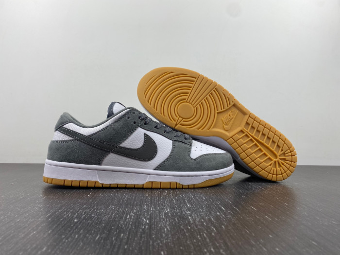 NIKE DUNK LOW FV0389-100