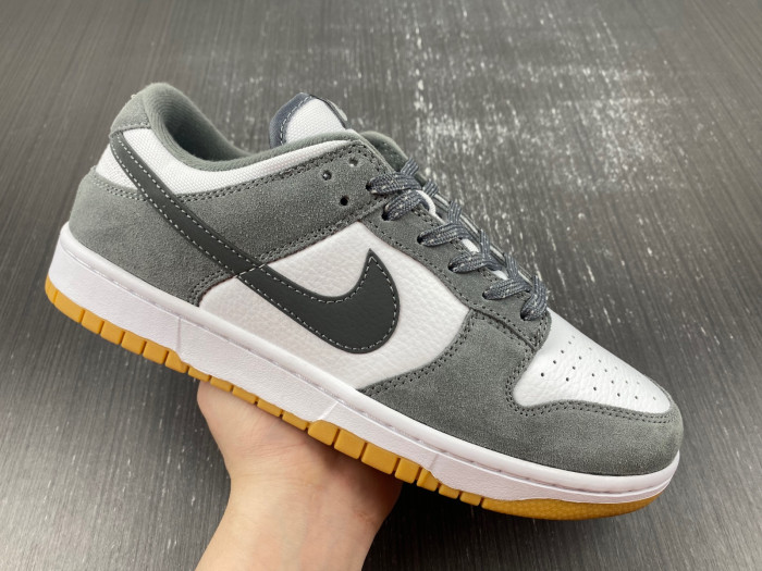 NIKE DUNK LOW FV0389-100