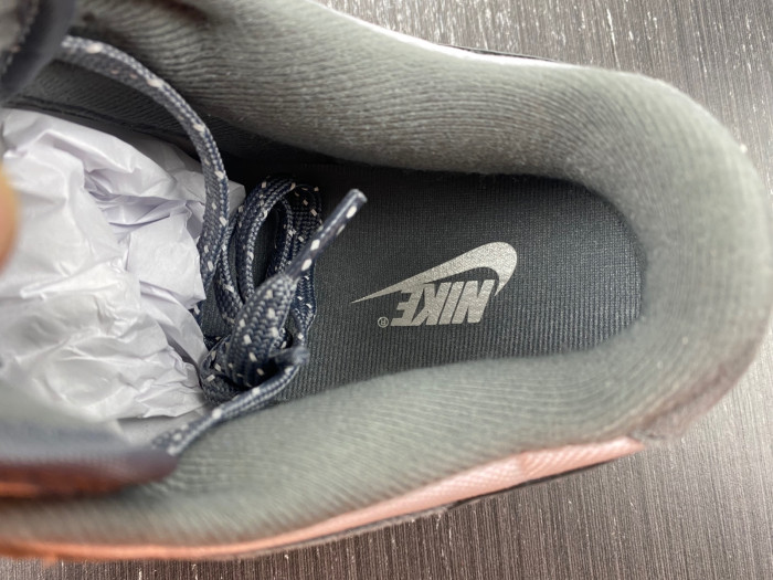 NIKE DUNK LOW FV0389-100