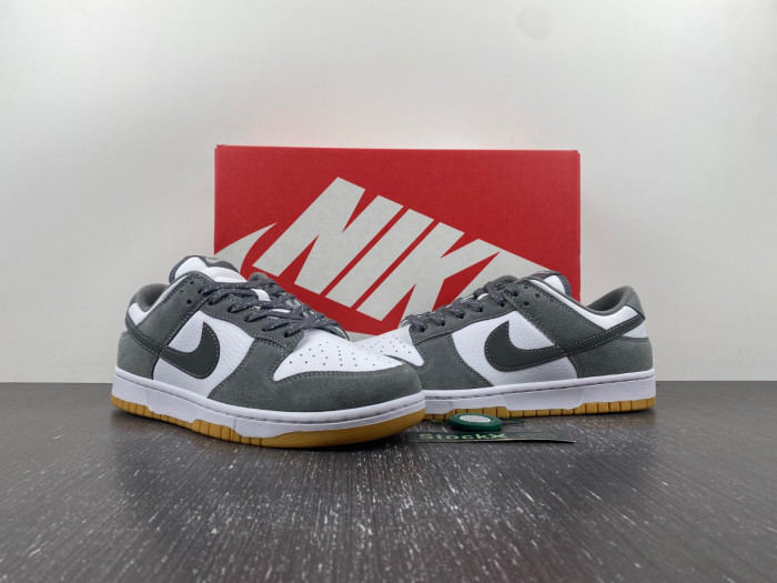 NIKE DUNK LOW FV0389-100
