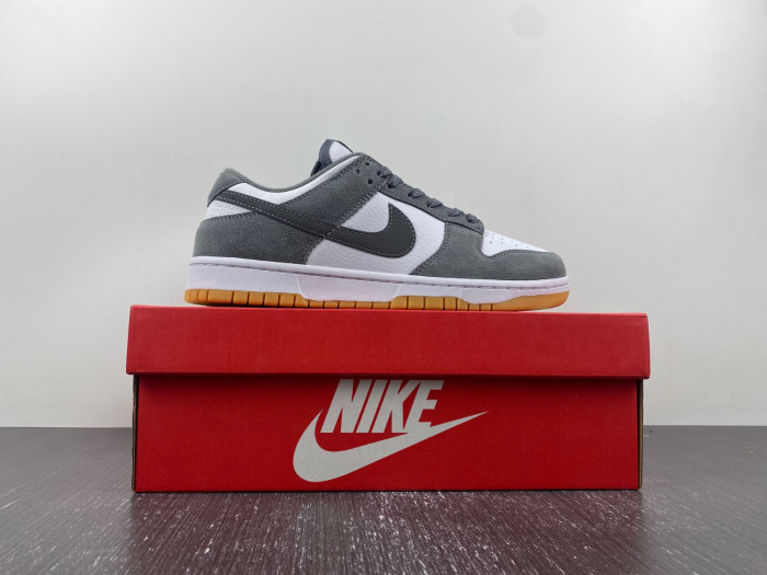 NIKE DUNK LOW FV0389-100