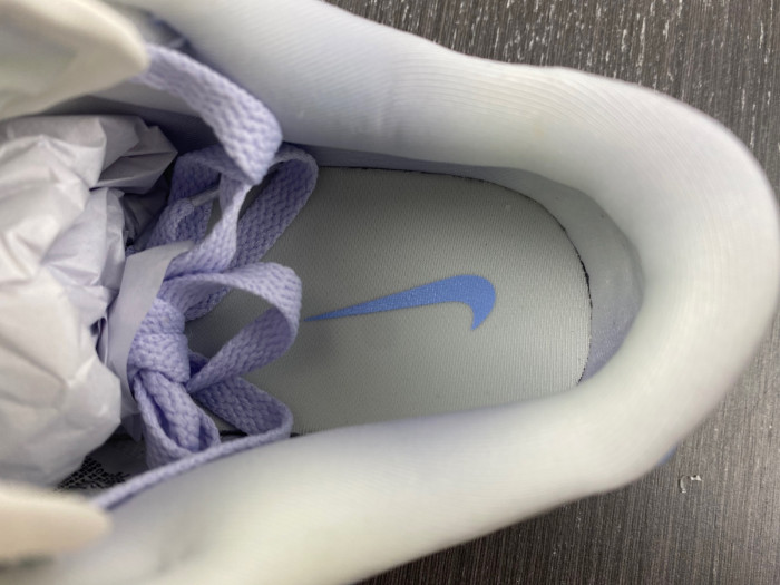 NIKE DUNK LOW WMNS FN0323-400