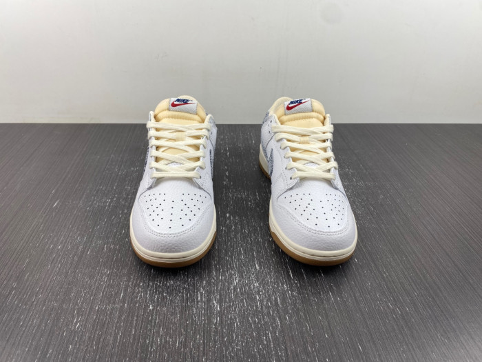 Nike Dunk Low “Washed Denim" FN6881-100