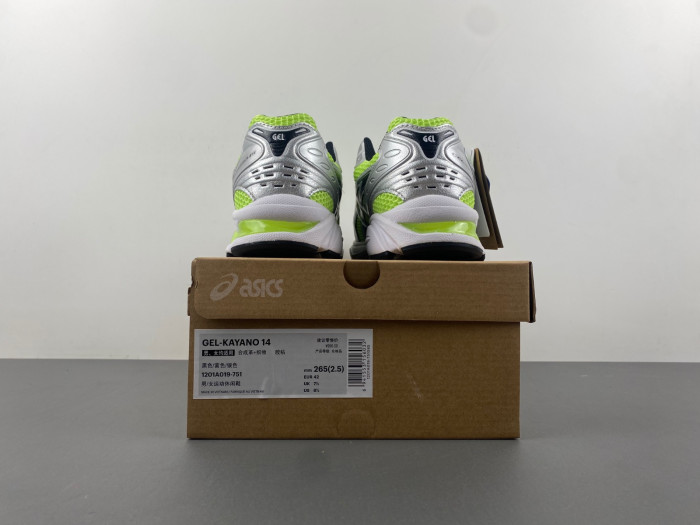 ASCIS SNEAKER 1201A457-751