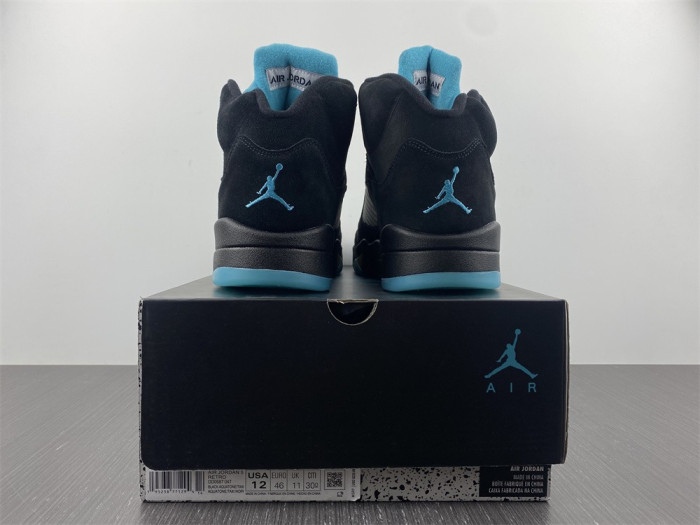 Air Jordan 5 408452-010