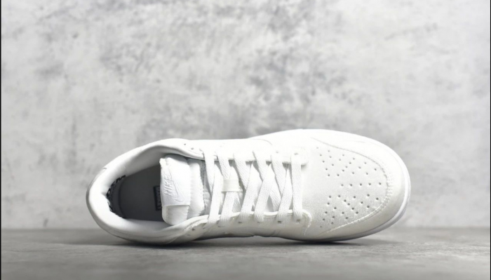 NIKE SB DUNK LOW White Goose down DH2686-100