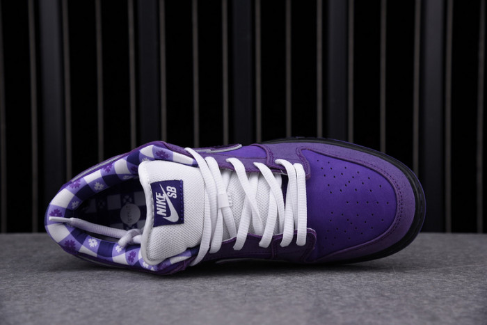 Nike SB Dunk Low Concepts Purple Lobster BV1310-555
