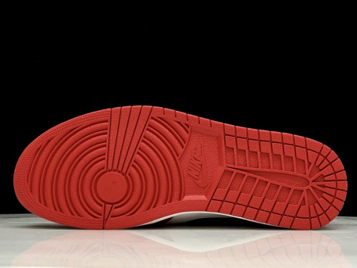 Jordan 1 Retro High Homage To Home 861428-061